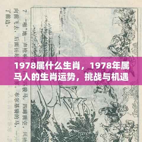 1978年属马人的生肖运势,挑战与机遇并存的一年,运势解析及挑战机遇概述