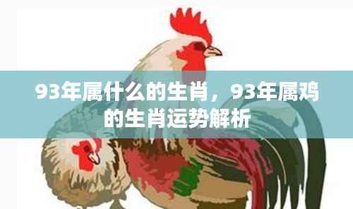 93年属鸡的生肖运势全面解析