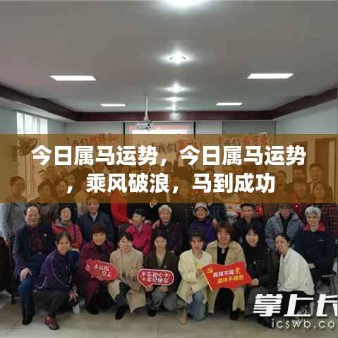 今日属马运势大揭秘,乘风破浪,马到成功!