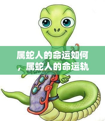 揭秘属蛇人的命运轨迹与运势走向