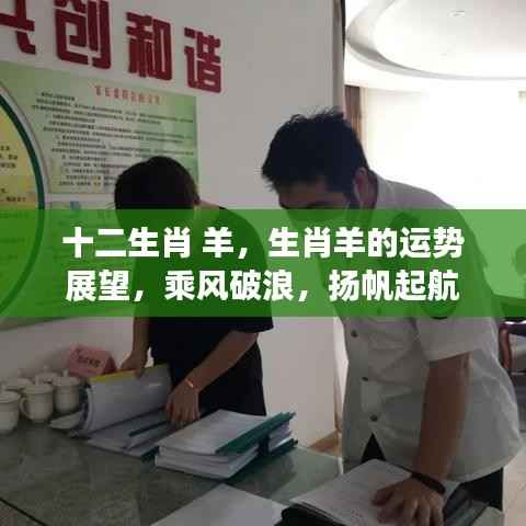 生肖羊运势展望，乘风破浪，扬帆起航的幸运之旅