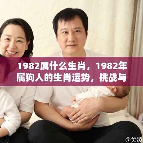 1982年属狗人的挑战与机遇并存,生肖运势解析