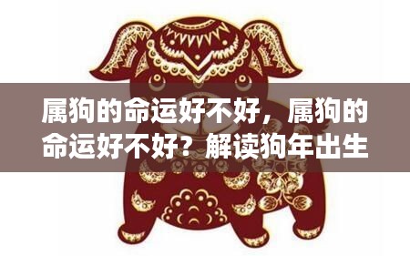 狗年出生人的命运解析,属狗的命运究竟如何?