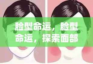脸型命运之谜,探索面部轮廓背后的运势奥秘