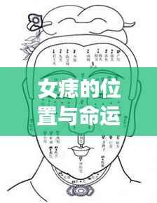 女痣位置与命运解析,揭示痣点与命运图的奥秘关联