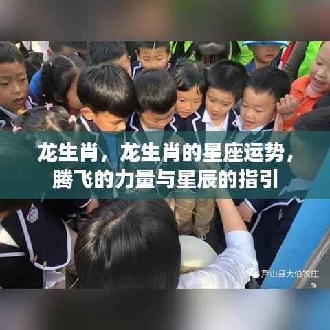 龙生肖运势揭秘,腾飞之力与星辰指引的双重影响