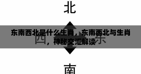 东南西北与生肖的神秘交汇,生肖归属大揭秘