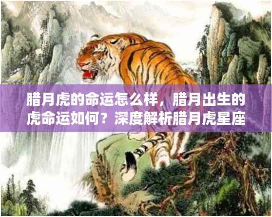 腊月虎星座运势深度解析,命运走向与性格特质探寻