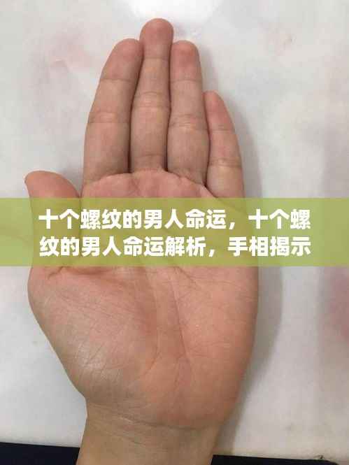 十个螺纹的男人命运解析,手相揭示未来走向的秘密