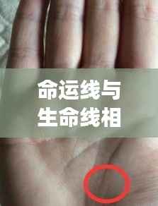人生的交叉点,命运线与生命线的交汇探寻