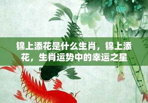 生肖运势中的幸运之星,锦上添花的生肖揭秘