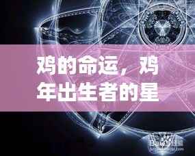 首鼠两端 第4页