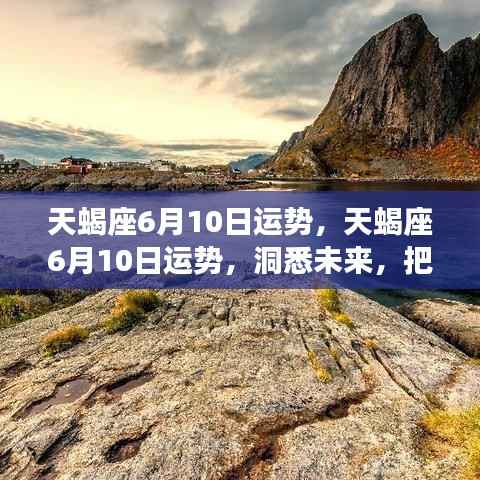 天蝎座6月10日运势详解,洞悉未来,把握机遇,赢在运势之巅
