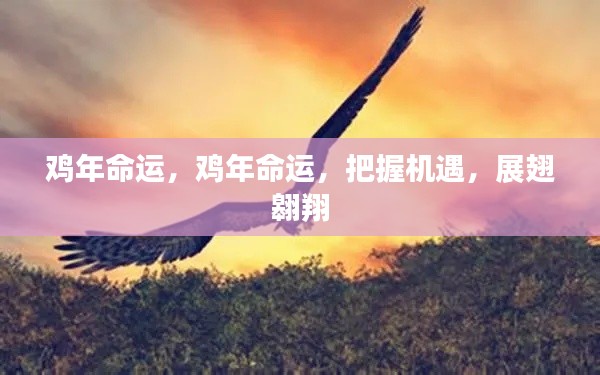 鸡年命运展望,把握机遇,展翅翱翔天地之间