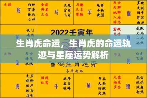 生肖虎命运解析,命运轨迹与星座运势深度解读