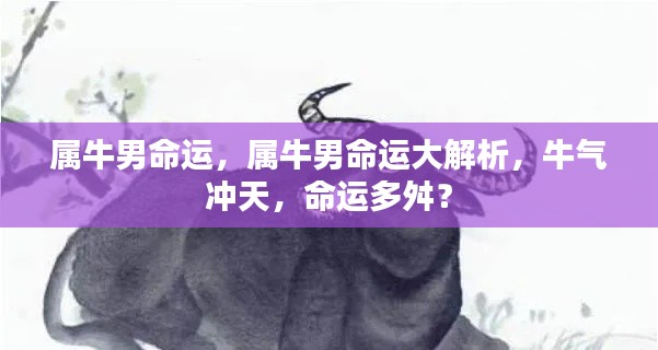属牛男的命运深度解析,波折与机遇并存