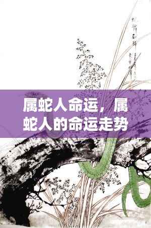 属蛇人的命运走势揭秘,宿命与机遇的交织