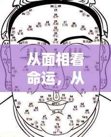 面相与星座运势,命运奥秘的探索之路