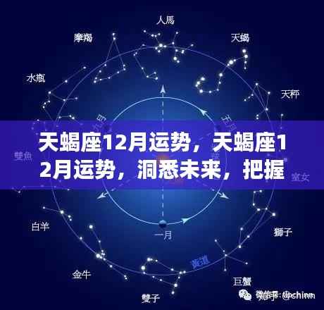 天蝎座12月运势详解,洞悉未来,把握机遇的黄金时段