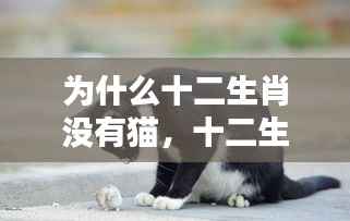 敷衍了事 第5页