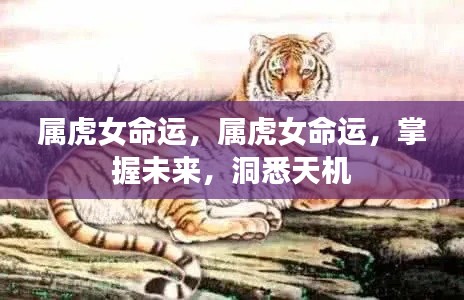 属虎女的命运探索,洞悉未来,掌握天机之路