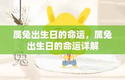 属兔出生日的命运详解，揭示生肖兔不同出生日的命运走向