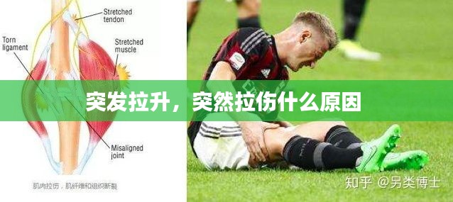 突发拉升,突然拉伤什么原因