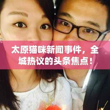 太原猫咪新闻事件,全城热议的头条焦点!