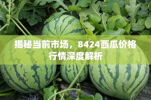 揭秘当前市场,8424西瓜价格行情深度解析