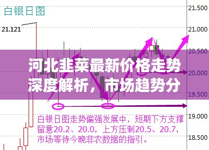 河北韭菜最新价格走势深度解析,市场趋势分析与预测