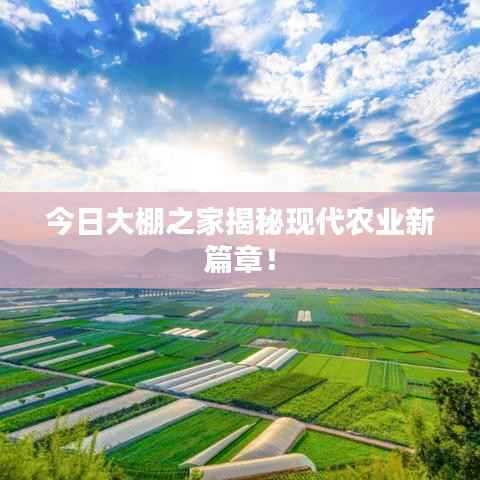 云屯鸟散 第5页