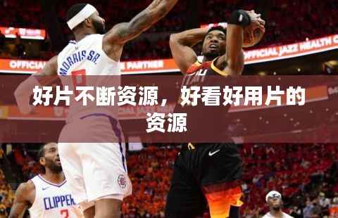 好片不断资源,好看好用片的资源