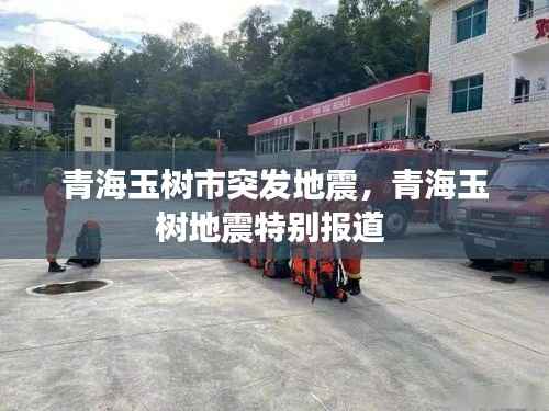 青海玉树市突发地震,青海玉树地震特别报道