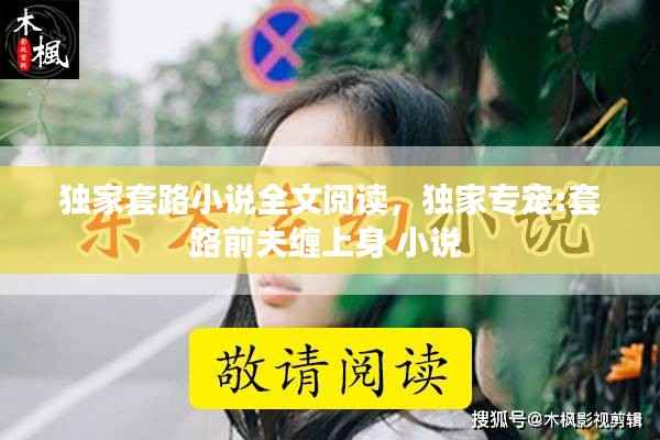 独家套路小说全文阅读,独家专宠:套路前夫缠上身 小说
