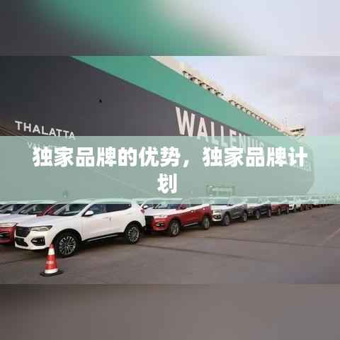独家品牌的优势,独家品牌计划