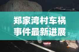郑家湾村车祸事件最新进展,视频报道揭示现场情况