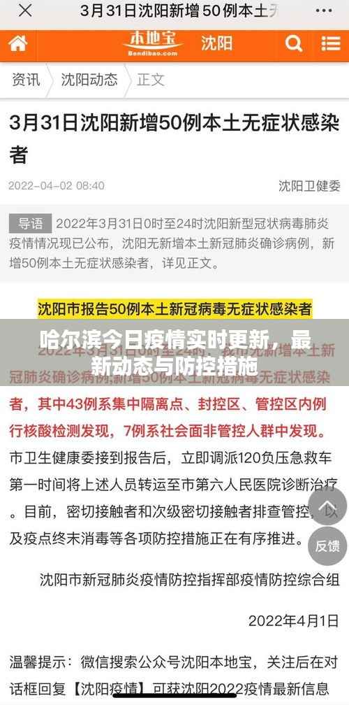 哈尔滨今日疫情实时更新,最新动态与防控措施