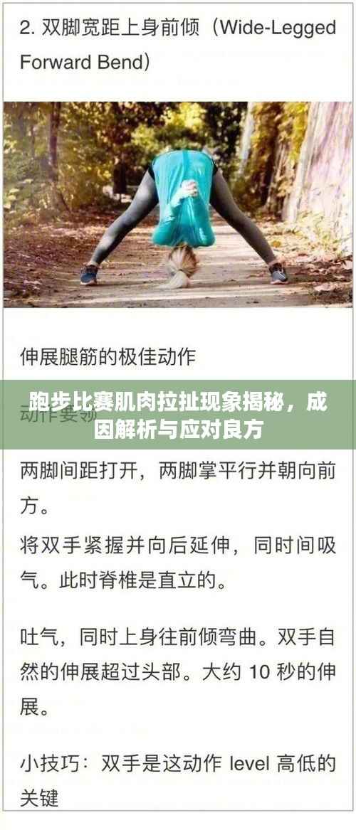 跑步比赛肌肉拉扯现象揭秘,成因解析与应对良方
