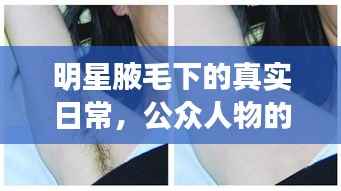 明星腋毛下的真实日常,公众人物的日常与身体出汗真相探索