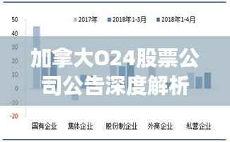 加拿大O24股票公司公告深度解析