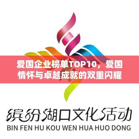 爱国企业榜单TOP10,爱国情怀与卓越成就的双重闪耀