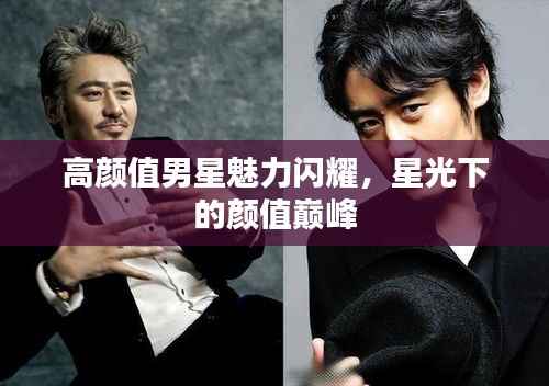 高颜值男星魅力闪耀,星光下的颜值巅峰