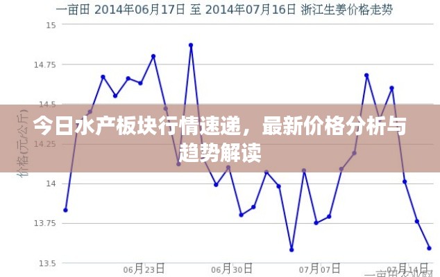 今日水产板块行情速递,最新价格分析与趋势解读
