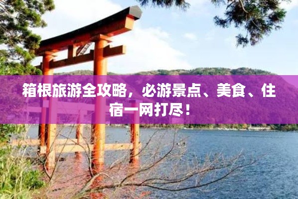 贵耳贱目 第5页