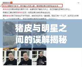 猪皮与明星之间的误解揭秘,揭秘背后的真相,让你一探究竟!