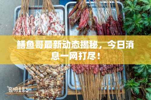 鳝鱼哥最新动态揭秘，今日消息一网打尽！