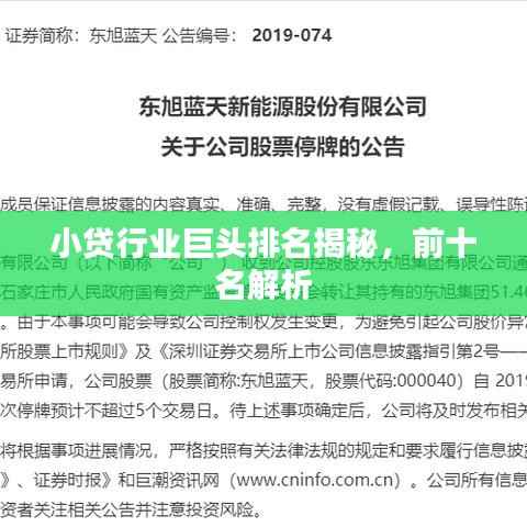 小贷行业巨头排名揭秘,前十名解析
