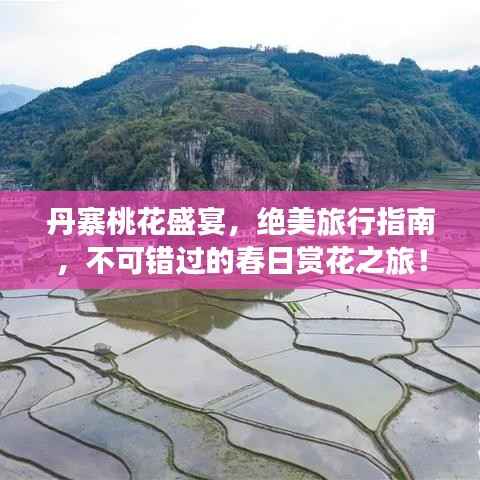 丹寨桃花盛宴,绝美旅行指南,不可错过的春日赏花之旅!