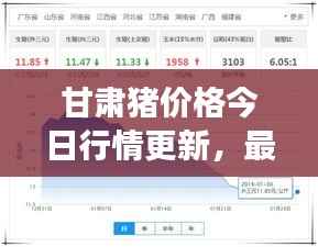 甘肃猪价格今日行情更新,最新市场动态一网打尽!