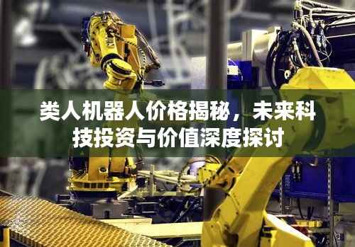 类人机器人价格揭秘,未来科技投资与价值深度探讨